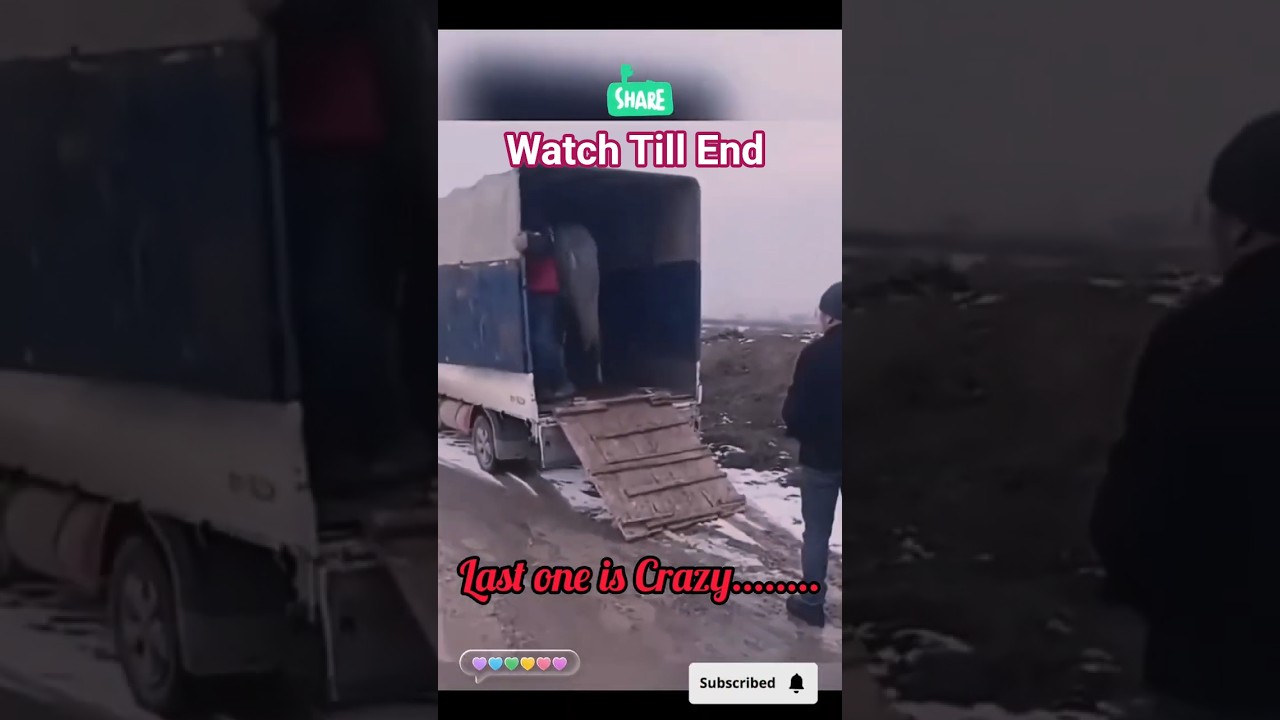 Epic Fail | Ep-18 😜🤯 #viral #memes #animals #hilariousfails #comedy