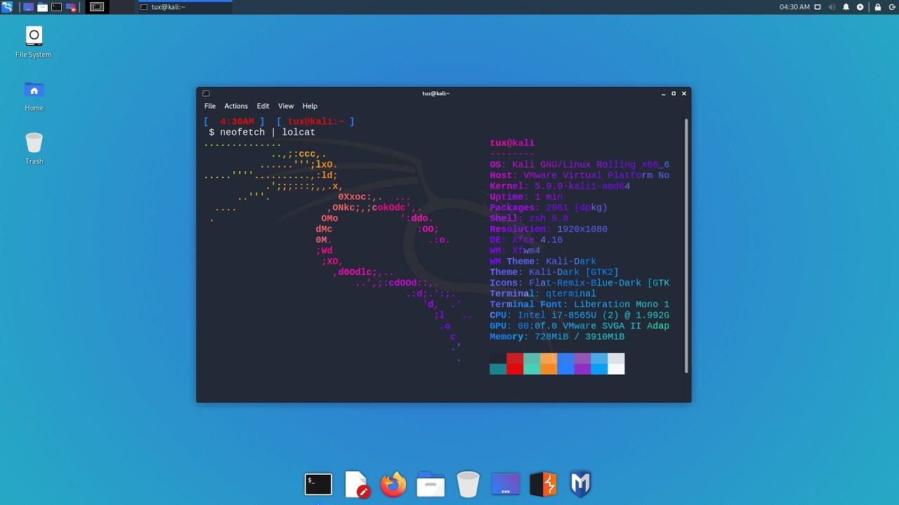 Tips & Tricks: Customizing Kali Linux 2020.4 (No Audio).