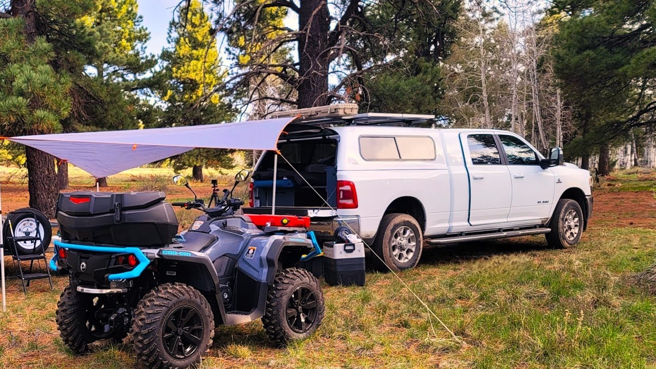 Truck Camping in the Forest with My Dog