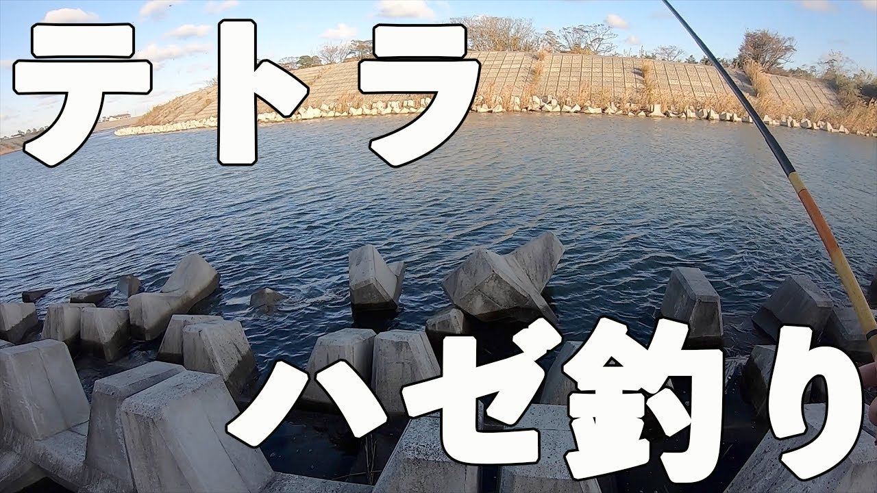 【秋のハゼ釣り】　テトラの間から巨大ハゼが！？