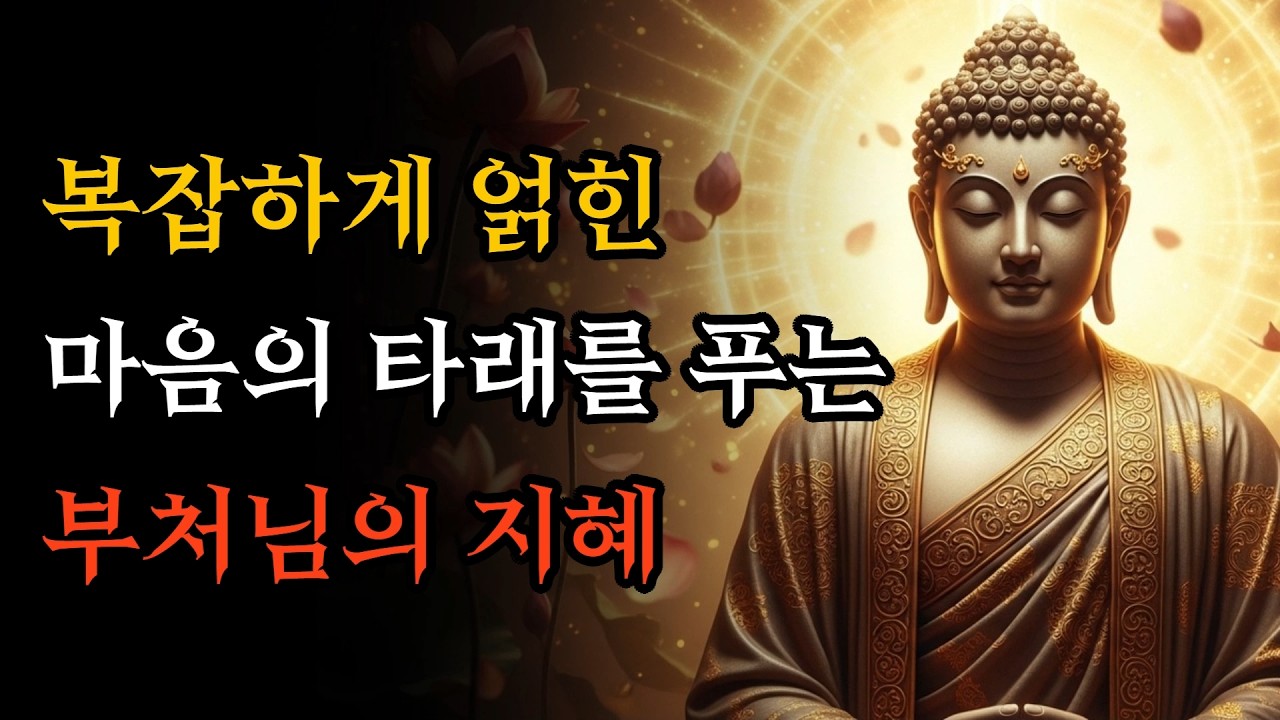 복잡하게 얽힌 마음의 평온을 찾는 법! | 인생이 편안해지는 부처님의 진짜 말씀