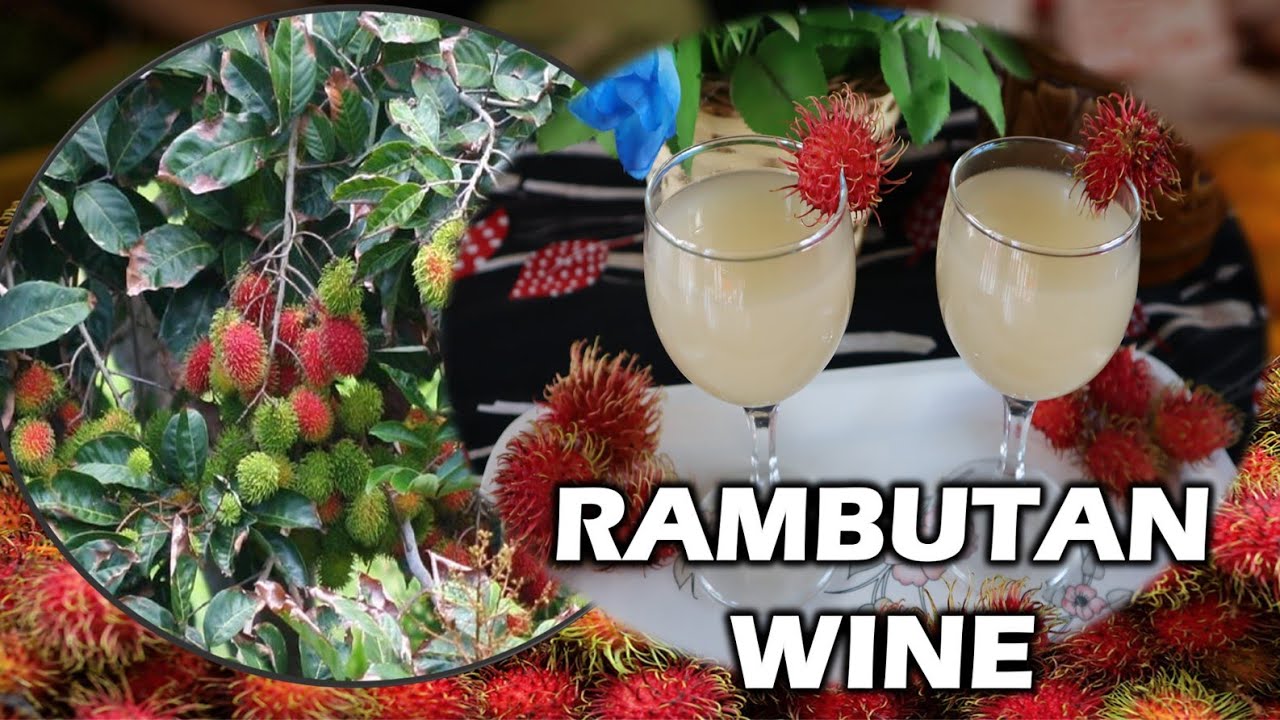 Легкий рамбутан #вино за 10 дней #rambutanwine