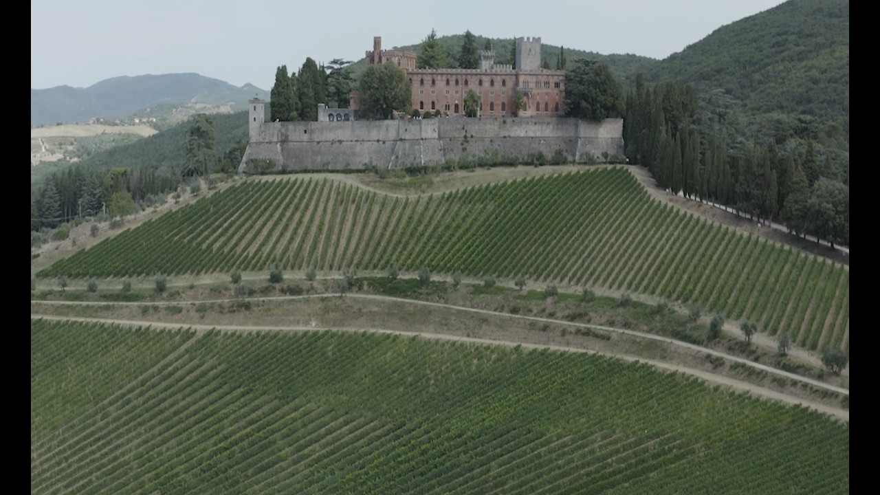 Tuscan Wine Journey: Explore the vineyards of the Tyrrhenian Sea