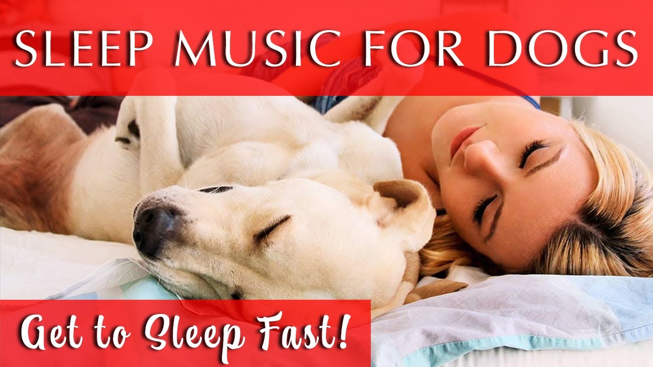 Calming Music for Dogs and Humans to Sleep FAST | 528Hz