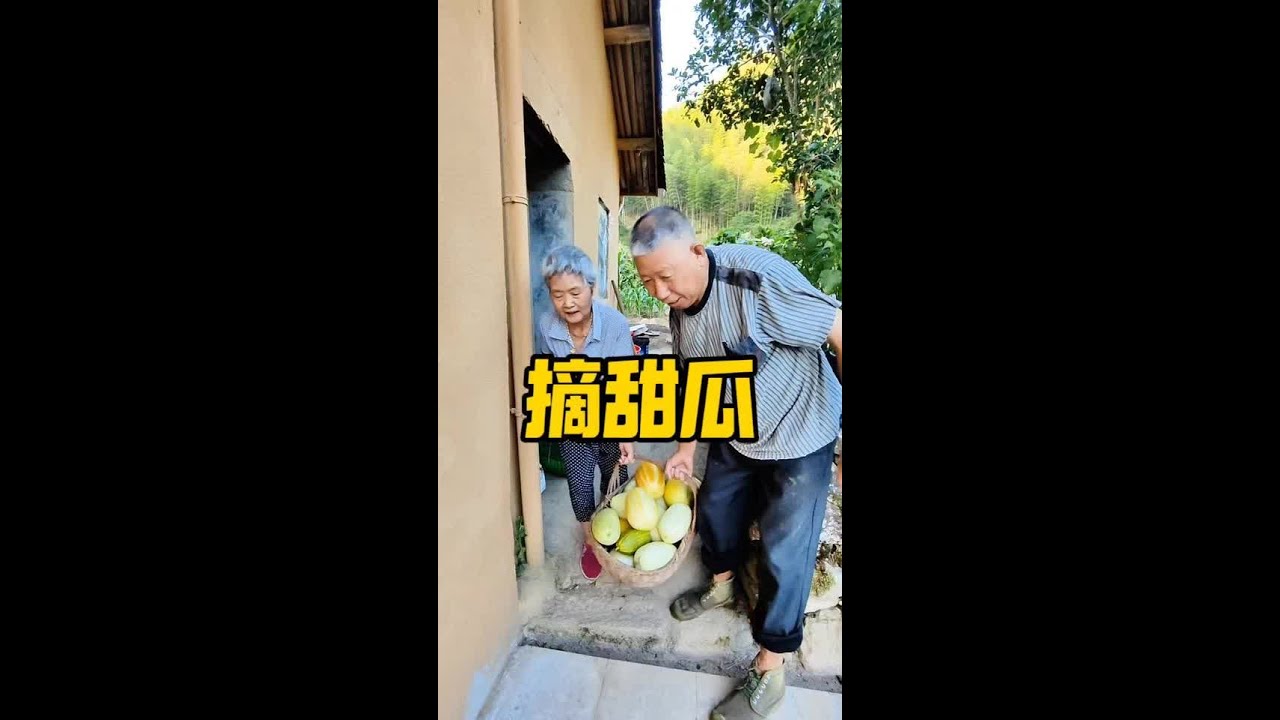 早晨是摘菜的时间，爸爸一大早就摘来一篮子甜瓜，然后几个外地美女来拿着爸爸种的菜各种拍，再然后她拍菜，我拍她………… #乡村生活家 #新农人计划2024