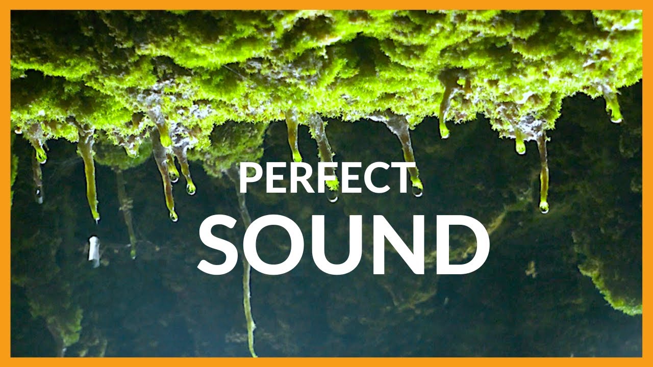 Water dripping fast sound effects relax music background #shorts