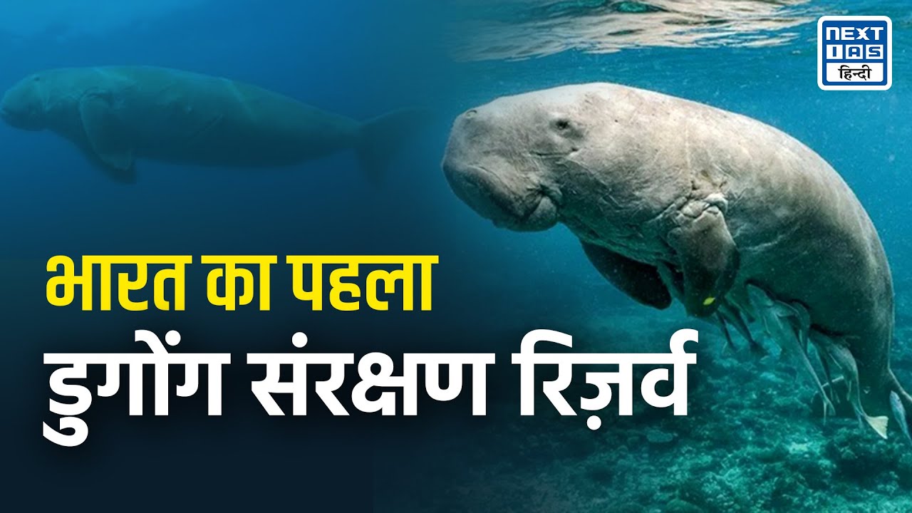 भारत का पहला Dugong Conservation Reserve | Next IAS HINDI