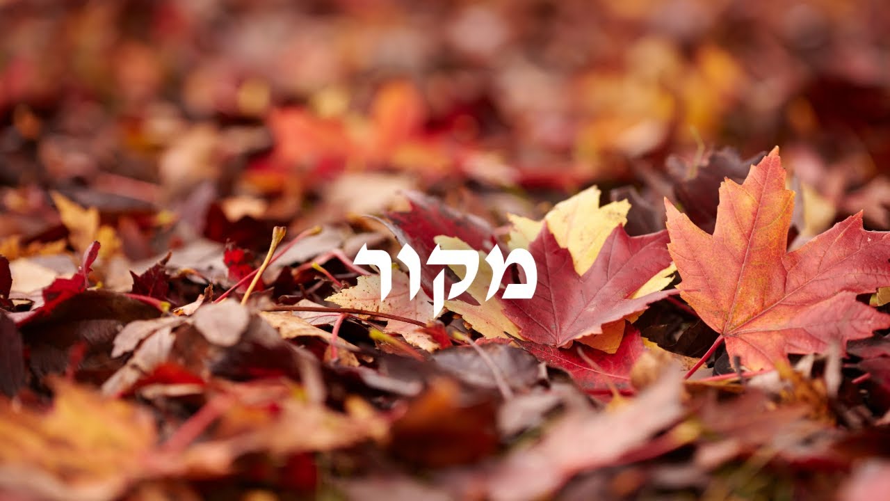 מקור - Source