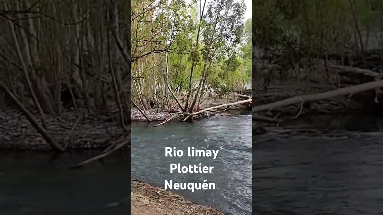#riolimay #nature #senderosargentinos