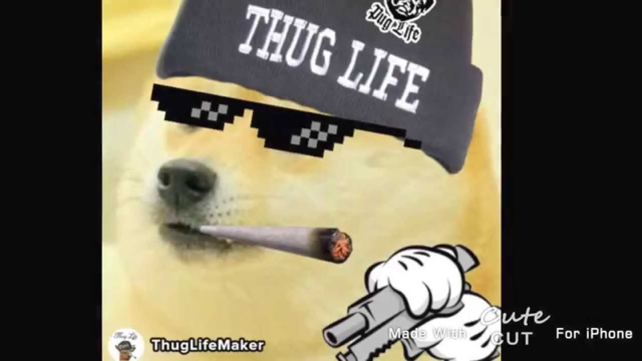 #Thug Life Doge Edition