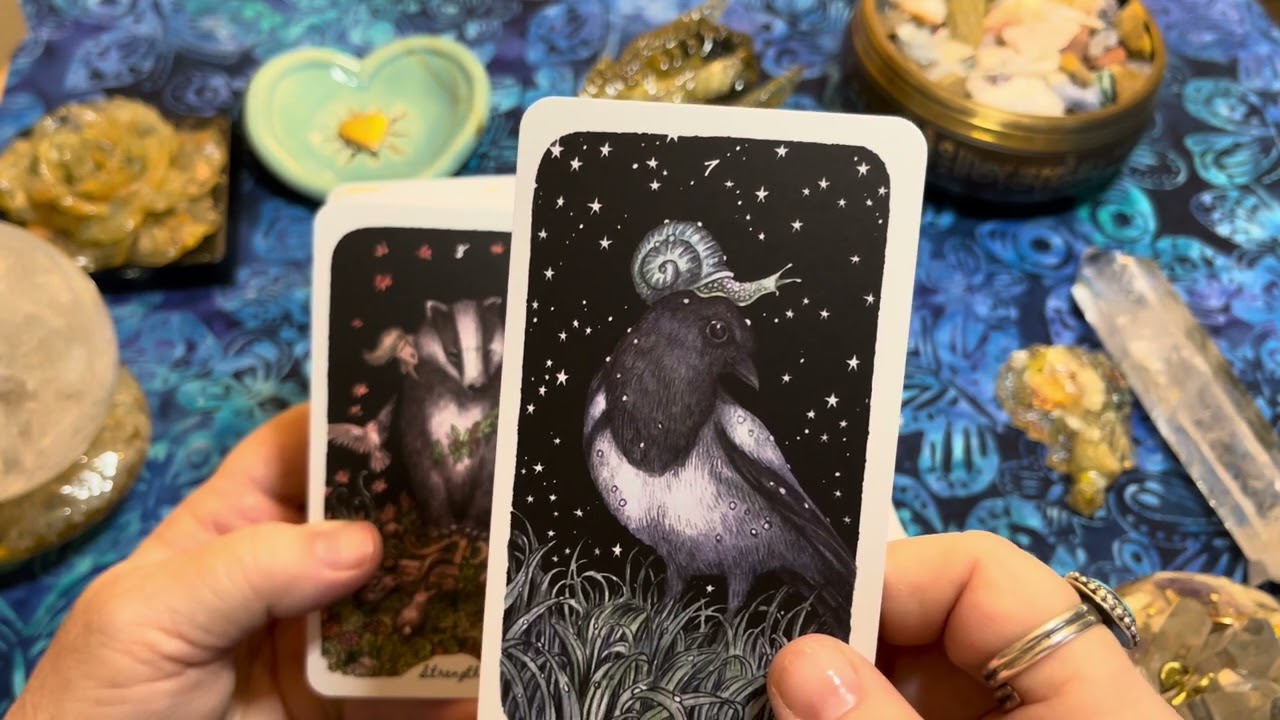 Deck Walk Through of Oak, Ash & Thorn Animal based Tarot Deck by Stephanie Burrows and Adam Oehlers