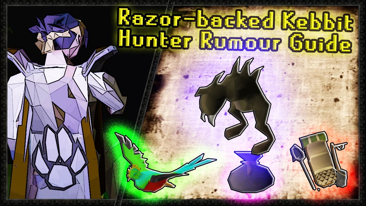 OSRS Hunter Rumors - Razor-backed Kebbit Quick Guide (6 min)