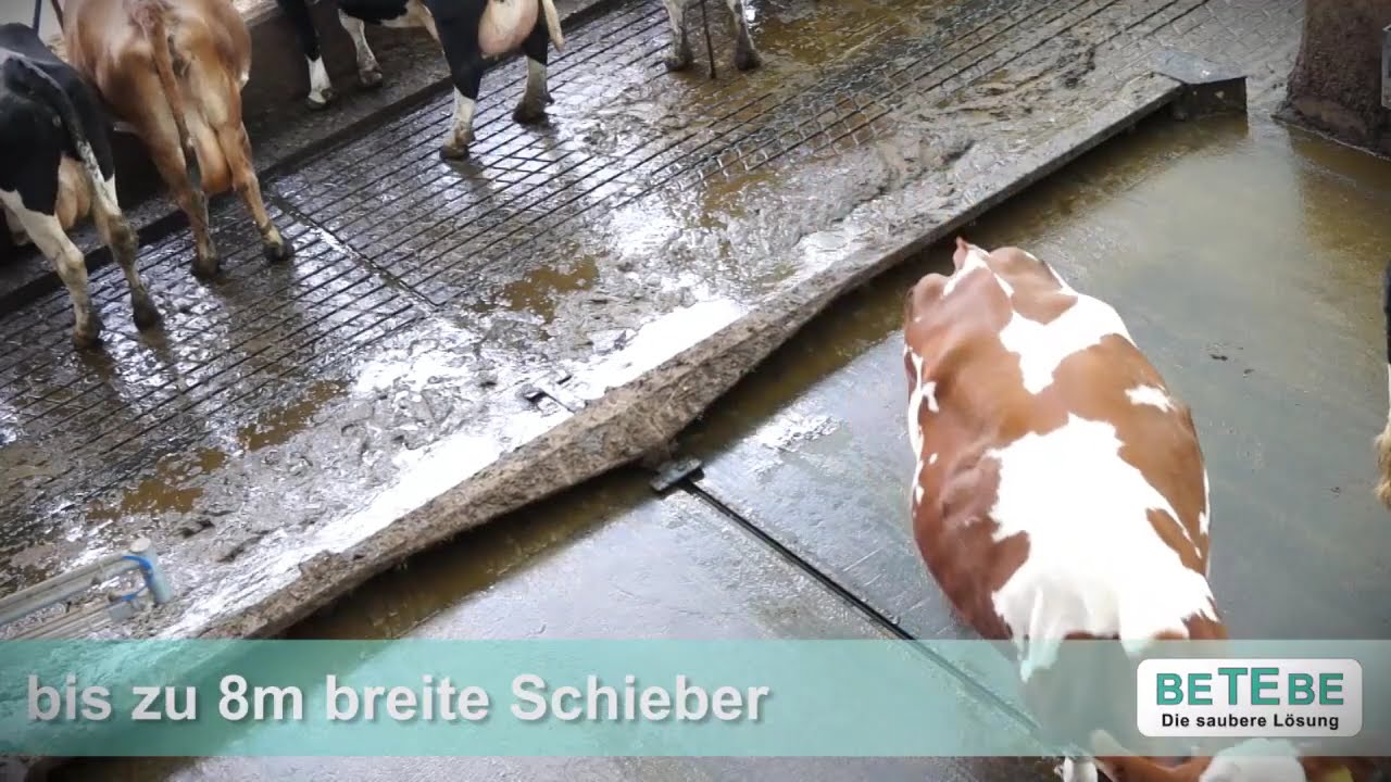 BETEBE Schieberanlage für emissionsarme Böden // Stalleinrichtung