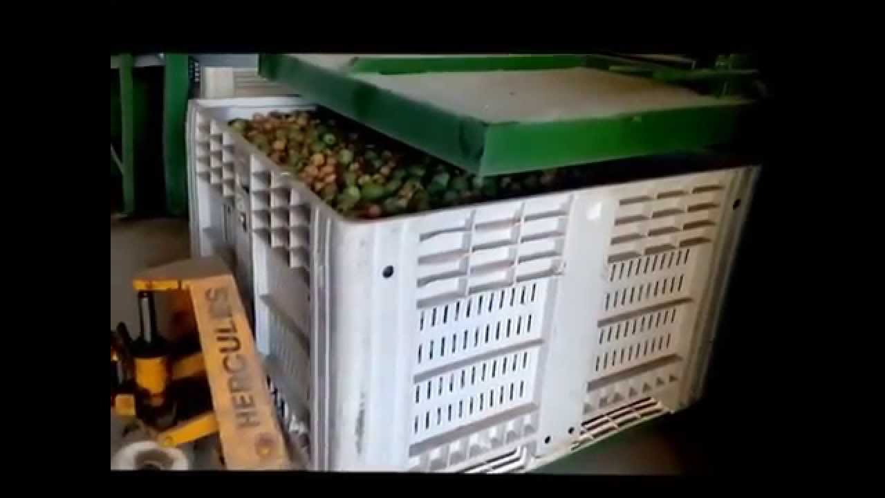 VOLCADOR DE BINS HIDRAULICO