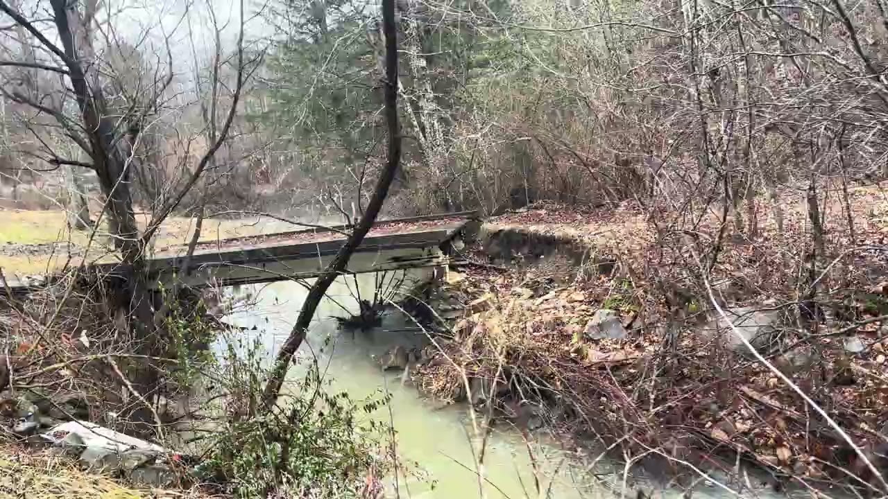 Just a walk down to the bridge in “ Squatch holler”
