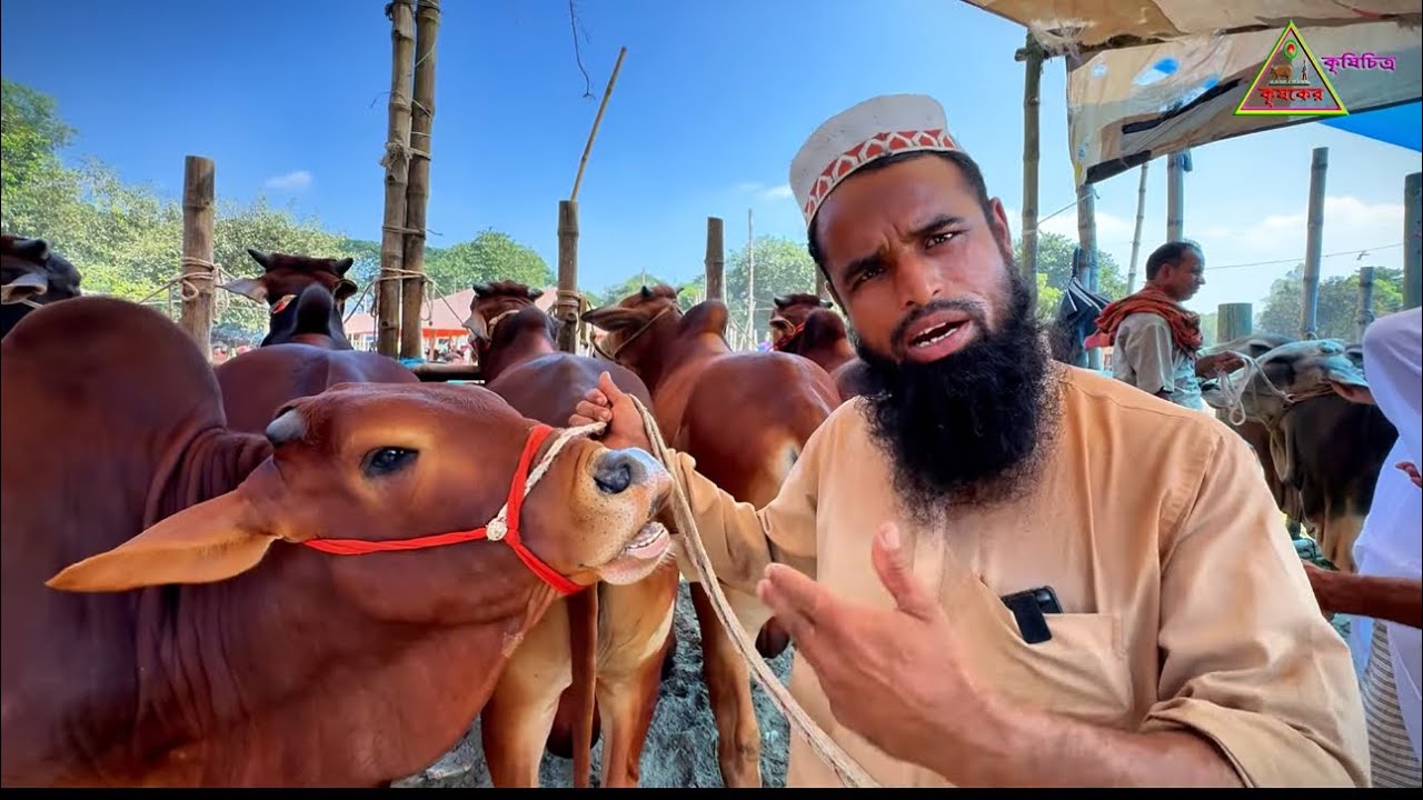 @আজ ২৬/১০/২৫