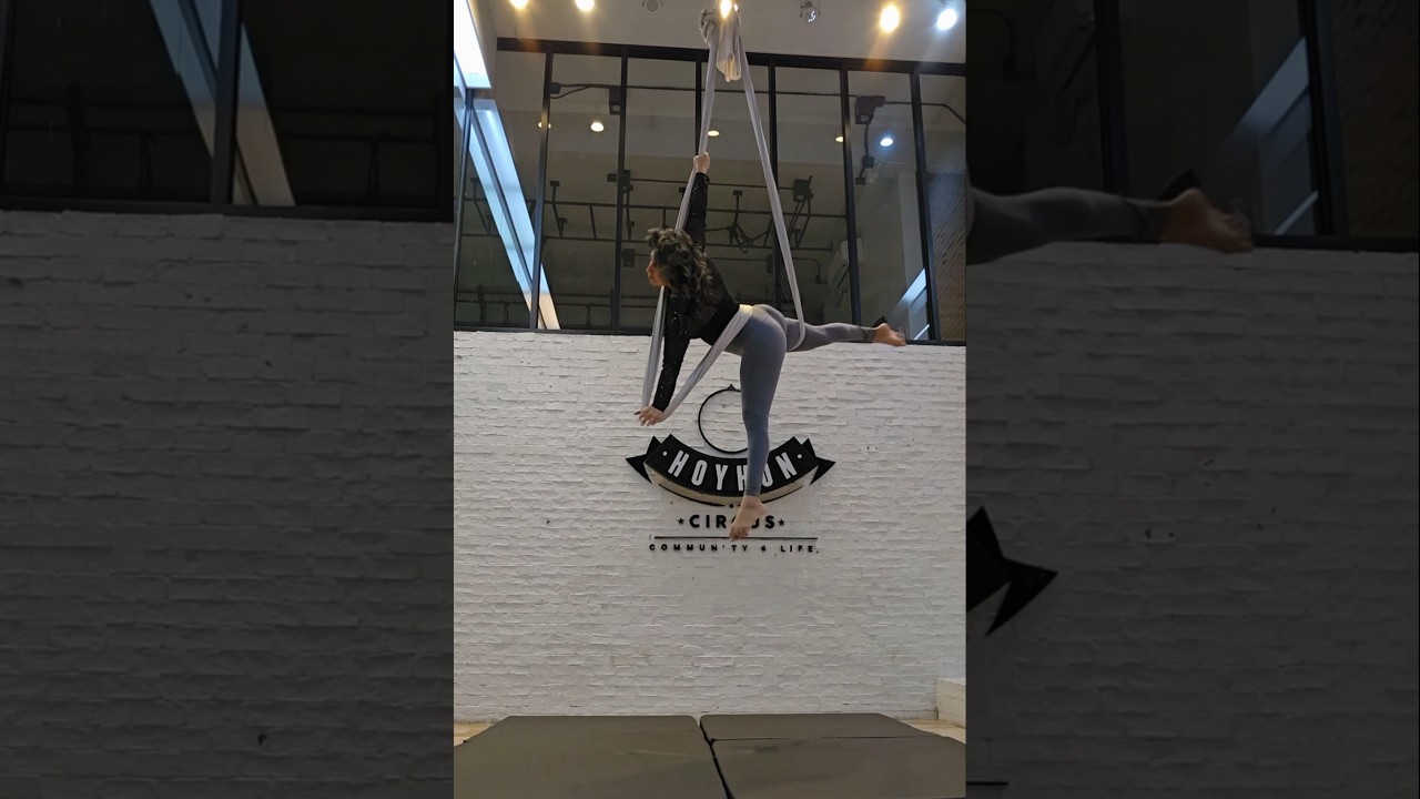 Aerial Hammock Cute Drop❤️ 