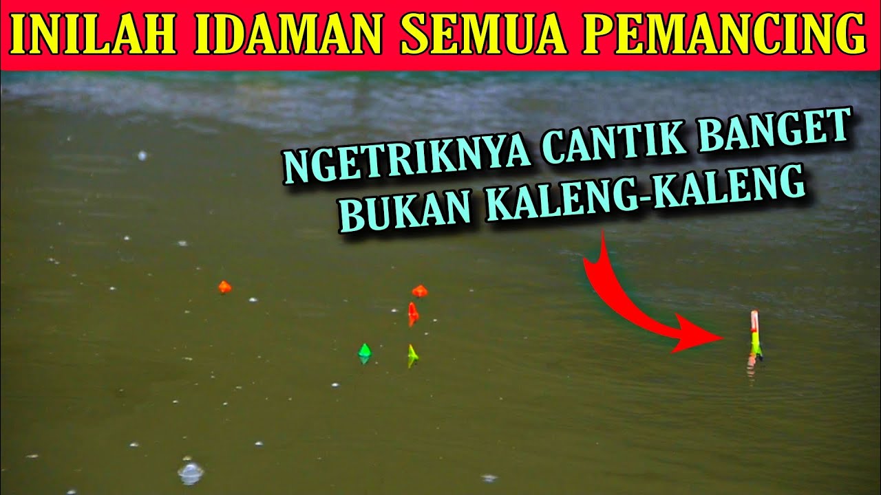 Umpan Mancing Ikan Mas Terbaik Diindonesia Masuk Untuk Segala Kondisi