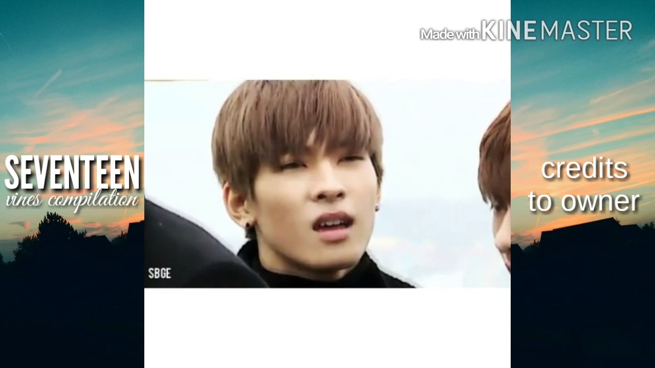 Seventeen Vines Compilation