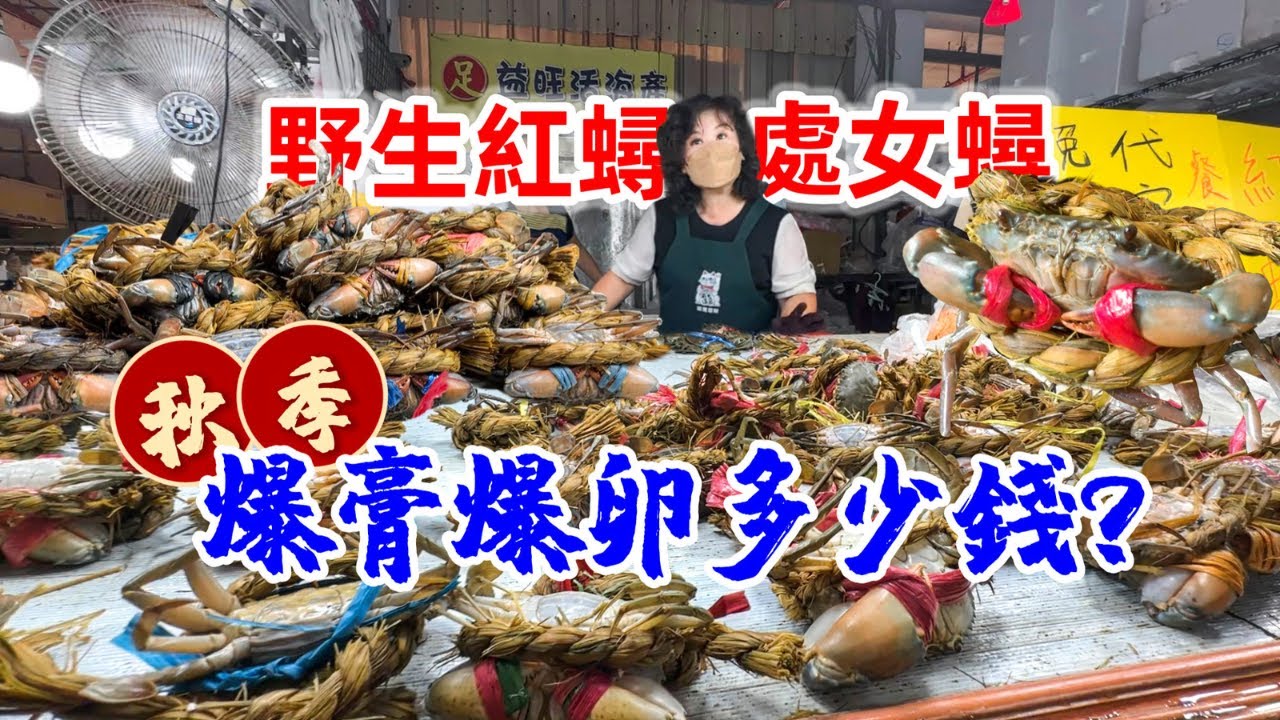 魚販:全部野生是騙人的！爆卵紅蟳、處女蟳多少錢？布袋漁港挑螃蟹，秋蟹最肥美！ #mudcrab #fishmarket