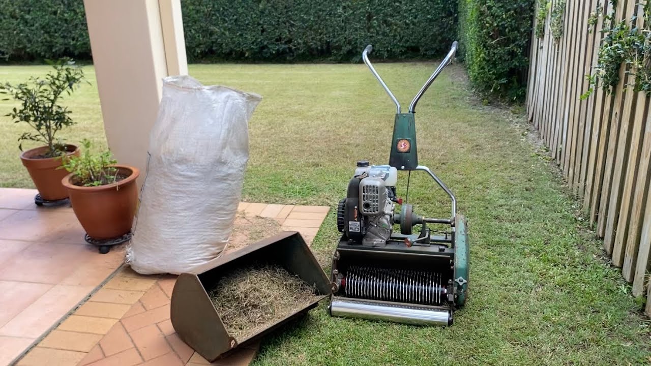 Growing blue couch from sprigs!!! With my groomer and topdress.
