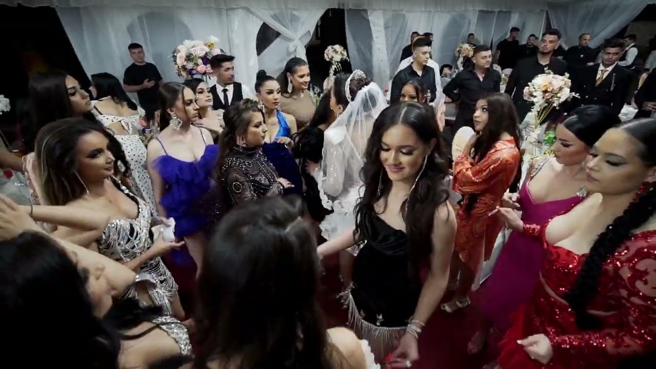 🎬CBX🎤 Costel Biju - Sistemul Balmain - Nunta Alysa&Mihai Bostana