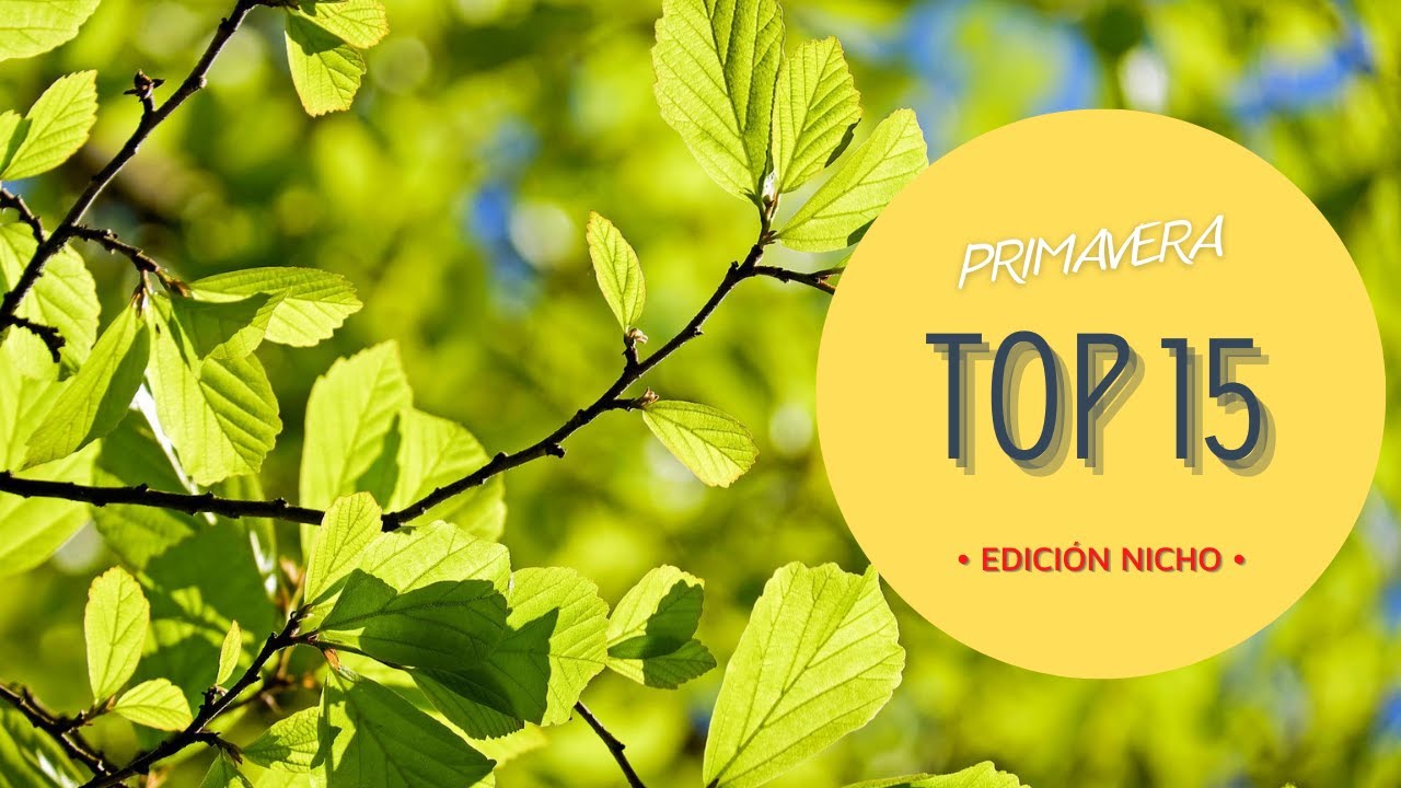 TOP 15 PERFUMES NICHO PARA PRIMAVERA: Mis 15 recomendaciones ☘️🌿☀️🔝
