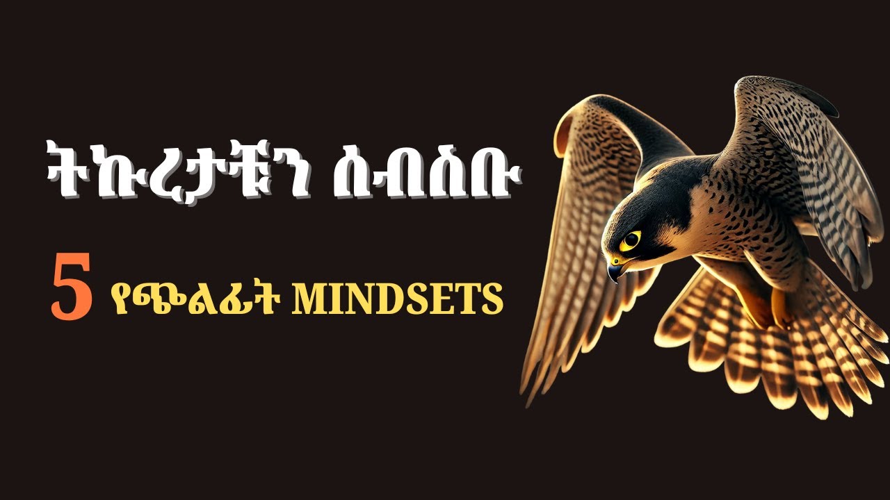 የጭልፊት አስተሳሰብ ፦ የትኩረትና የትክክለኛ ፍለጋ ጥበብ | How to Master Focus & Precision