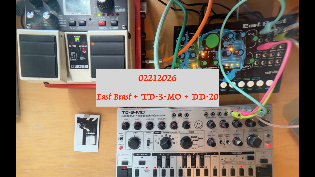 02212026: TD-3-MO + East  Beast + DD-20