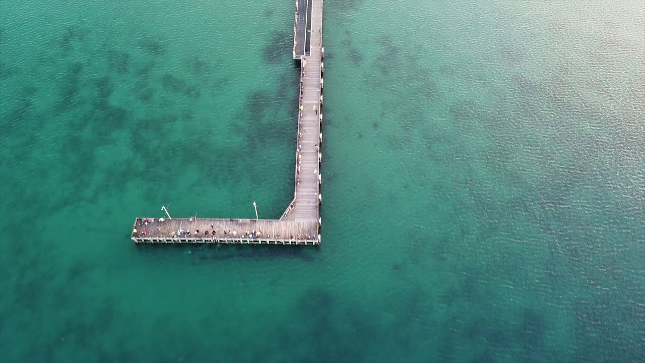 VISIT MORNINGTON PENINSULA, NOW | DomDom Video