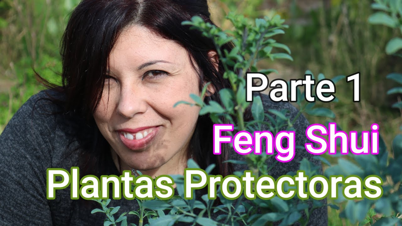 FENG SHUI PLANTAS🌱 PROTECTORAS PARTE 1
