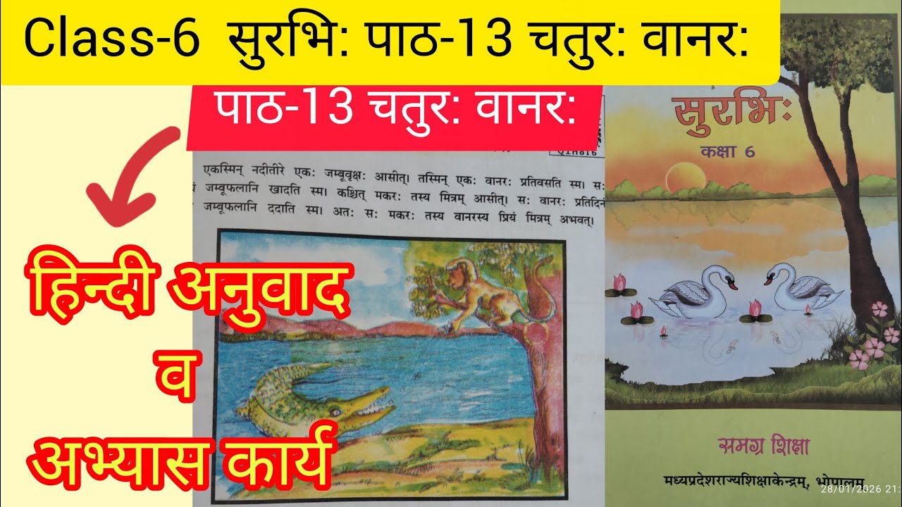 कक्षा-6।। सुरभि:।। पाठ-13 चतुर: वानर: का हिन्दी अनुवाद व अभ्यास कार्य।। 