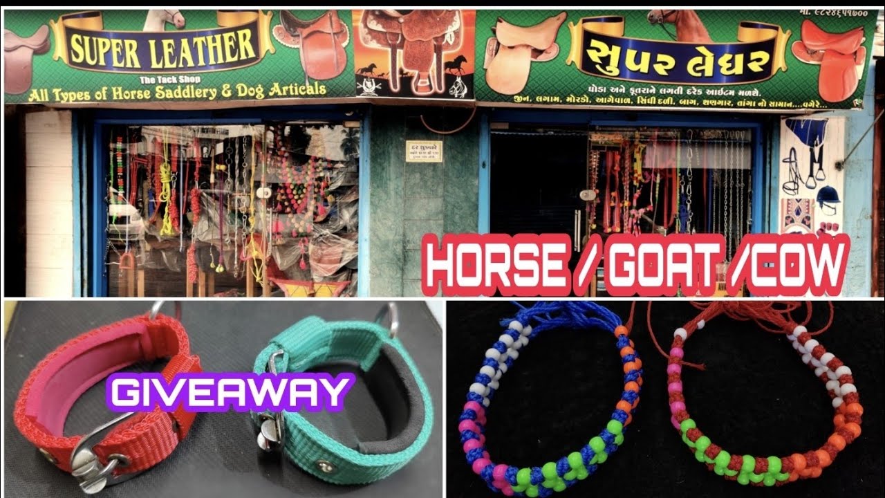 HORSE & GOAT ACCESSORIES SHOP SURAT...SUPER LEATHER KATHOR..| FIRST TIME GIVE AWAY ON AL MEEM ENT..
