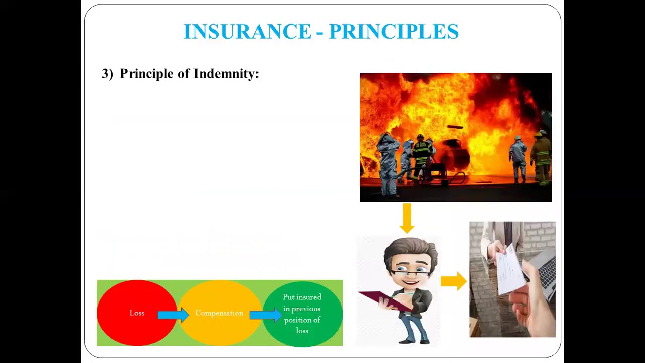 29   Principles of Insurance