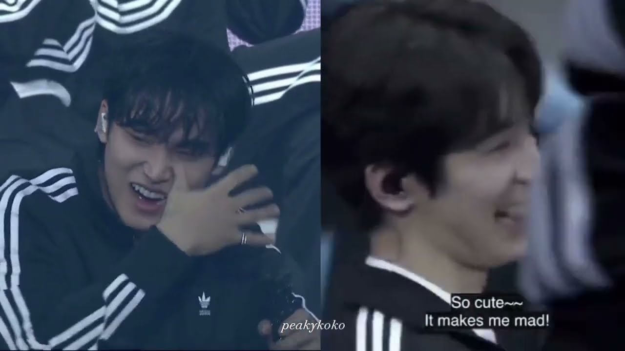 mingyu's pov wonwoo attention challenge 😭😭