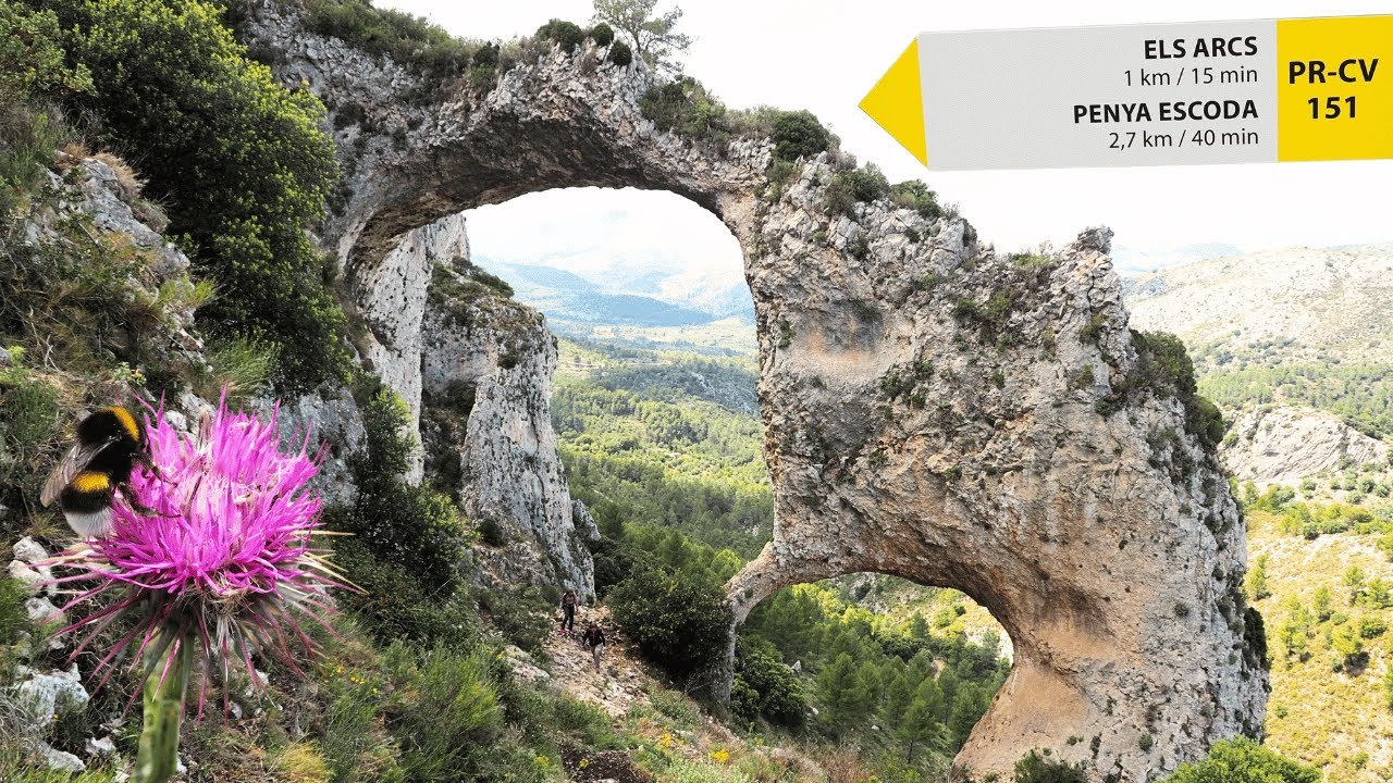 ELS ARCS de Castell de Castells - Ruta botánica Alicante