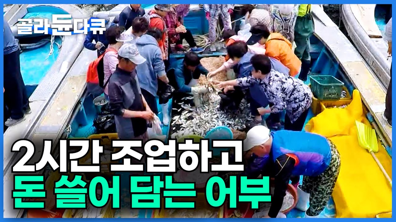 인적 드문 갯골에 배 한 척 들어오더니... 돈을 쓸어 담는다ㅣ설 자리 없어요 눈치싸움 끝에 얻어낸 명당자리ㅣ한국기행│#골라듄다큐