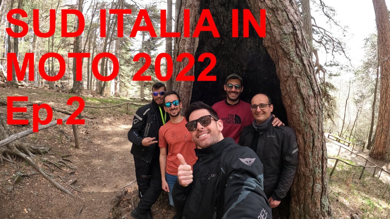 [Ep.2] I giganti della Sila e il lago Arvo