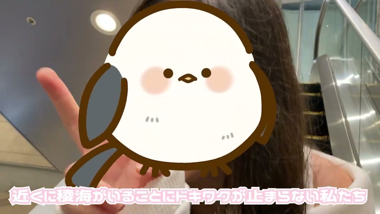 [101] 稜海しました！超特急ＱＲ初の公開録音に潜入！～東京ドームシティで遊ぶ様子もあるよ～