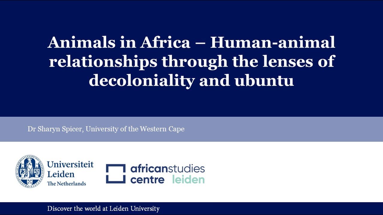 Animals in Africa - Human-animal relationships through the lenses of decoloniality and ubuntu