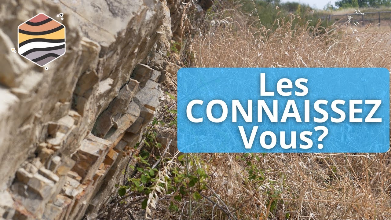 IDENTIFIER les 3 PLANS GÉOLOGIQUES