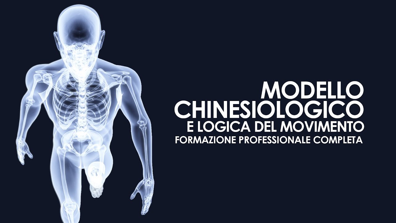 Modello chinesiologico e logica del movimento