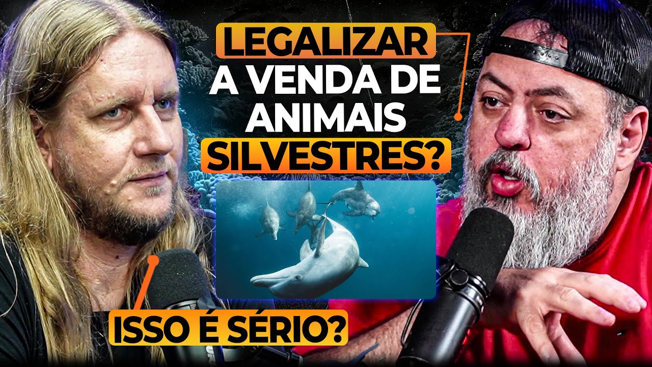 Comércio de fauna x conservação: onde está a linha?  | ALBERTO LINDNER