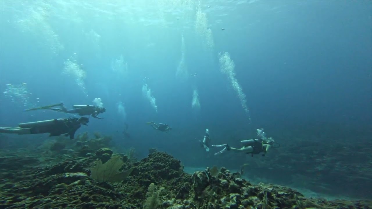 Scuba Diving in Belize, Victoria Canyons on March 20th 2025