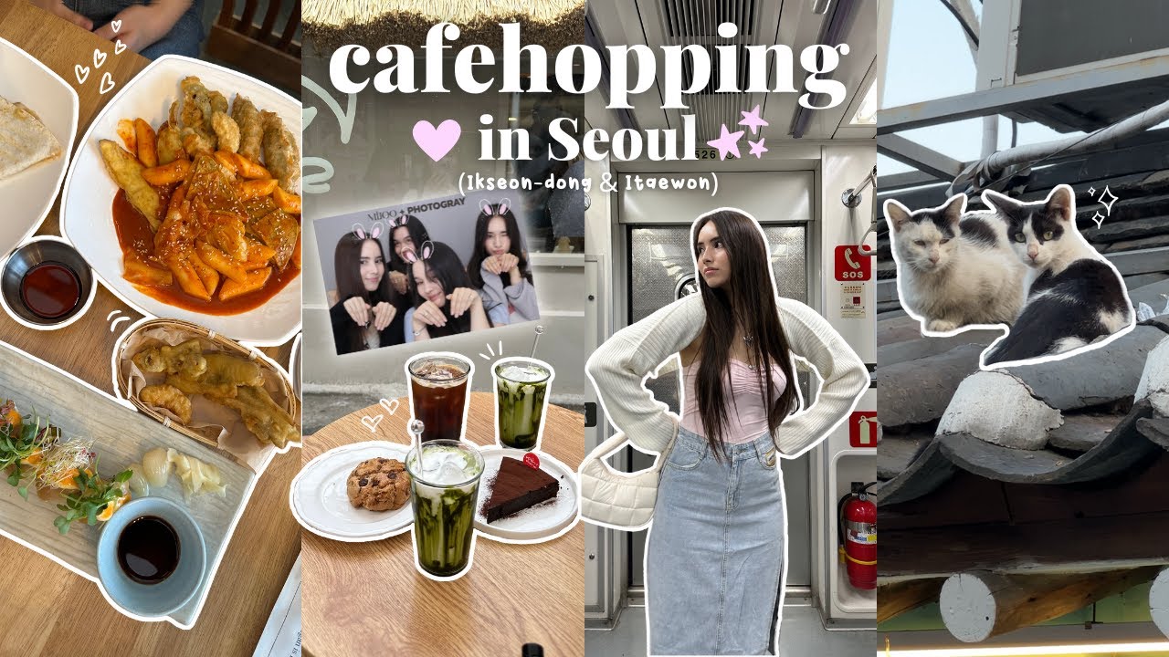 Cafehopping с подписчиками в Сеуле 🇰🇷 кафе в стиле ханок, корейская веганская еда, милые десерты,...