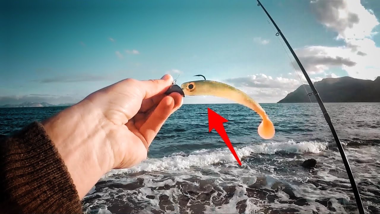 Mit Gummifisch am Badestrand - was beißt an?