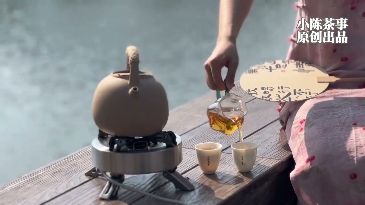 煮茶攻略来了！用一片饼干茶，手把手教你煮出好喝的老白茶
