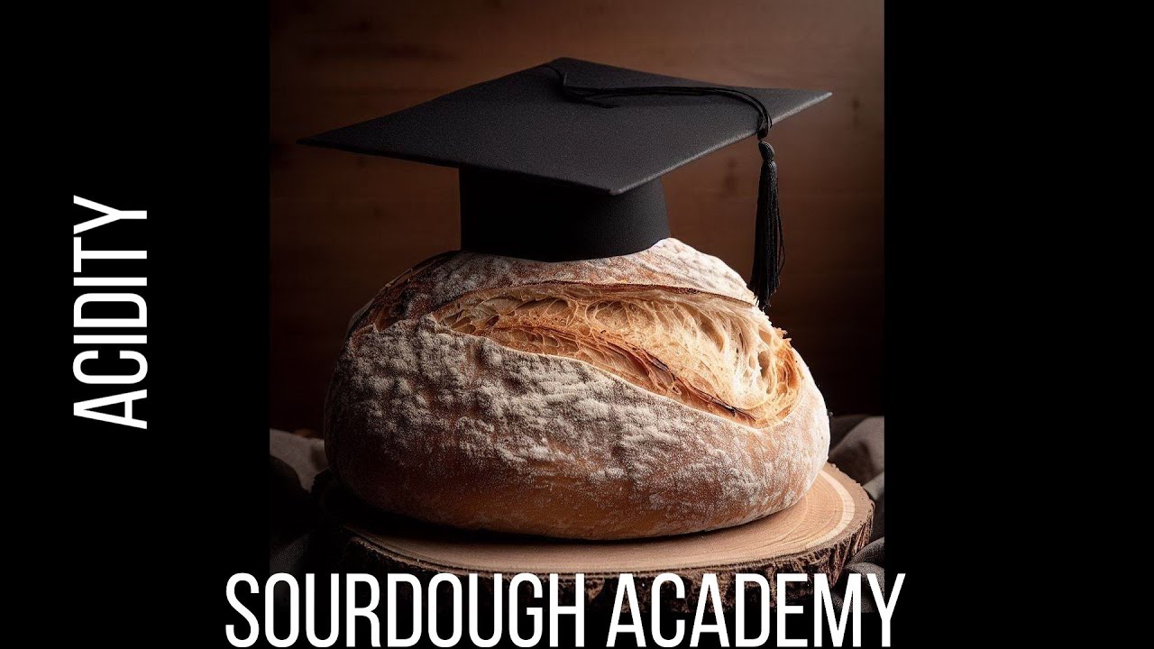 Sourdough Academy - Acidity