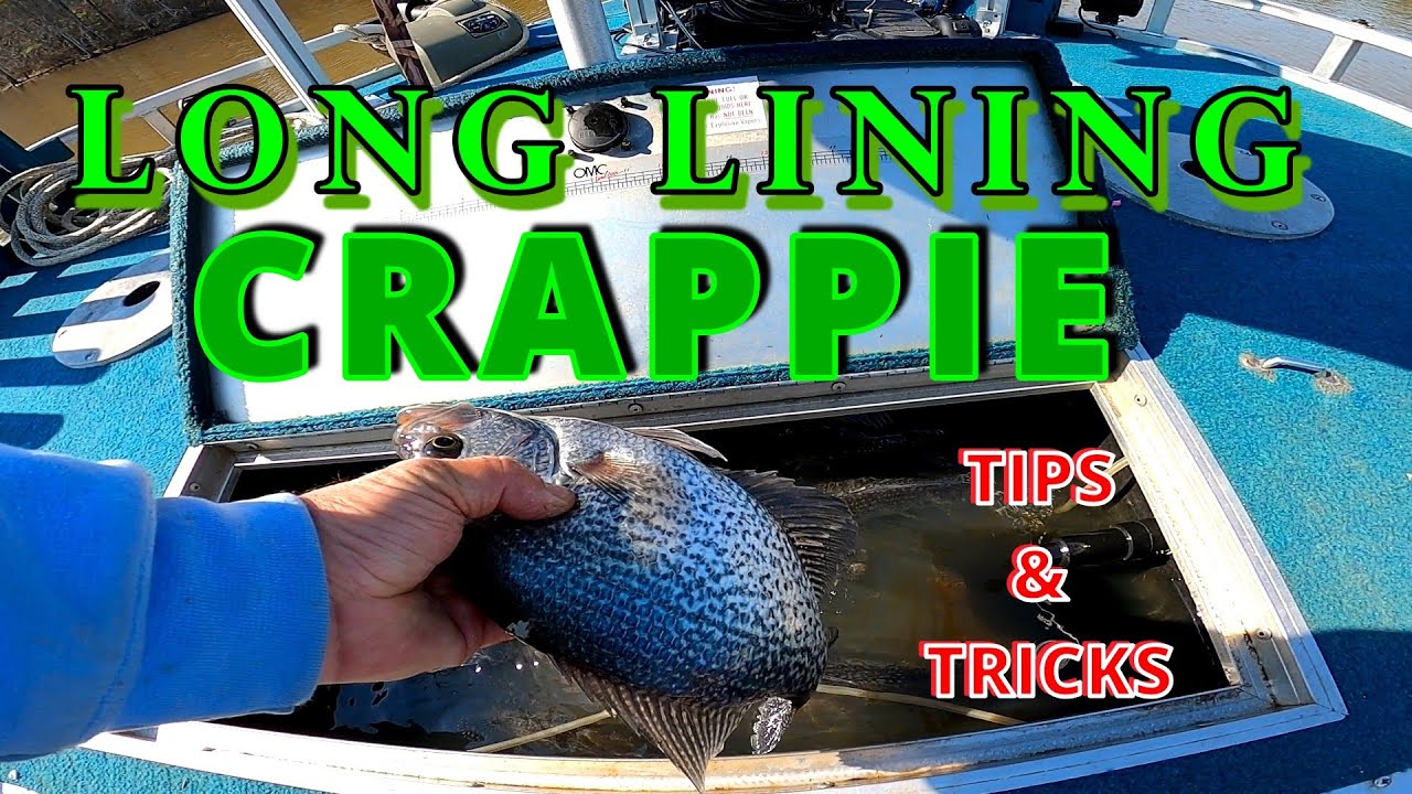 Long Line Crappies Tips and Tricks