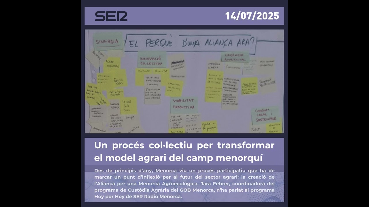 Un procés col·lectiu per transformar el model agrari del camp menorquí - SER Radio Menorca14/07/2025